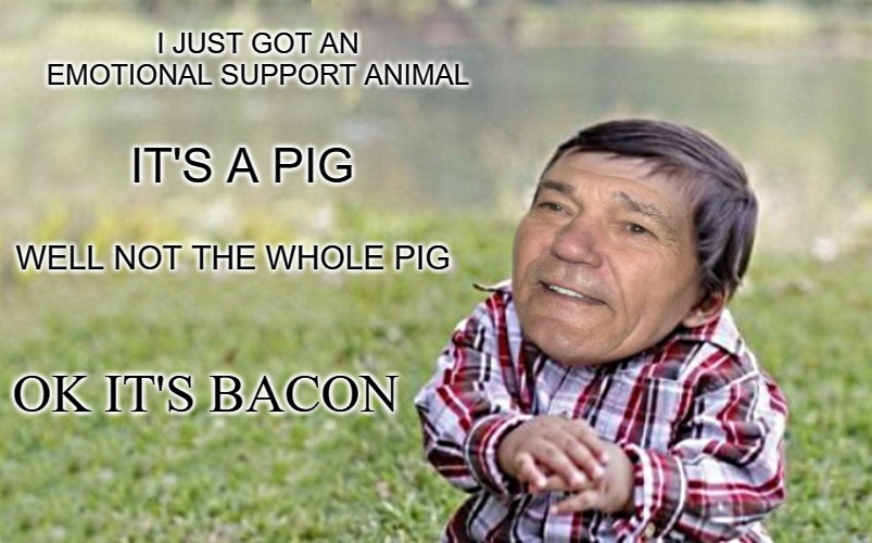 evil-kewlew-toddler | I JUST GOT AN EMOTIONAL SUPPORT ANIMAL; IT'S A PIG; WELL NOT THE WHOLE PIG; OK IT'S BACON | image tagged in evil-kewlew-toddler | made w/ Imgflip meme maker