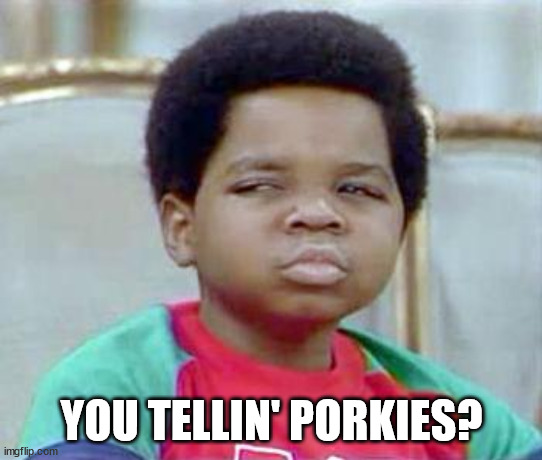 Whatchu Talkin' Bout, Willis? | YOU TELLIN' PORKIES? | image tagged in whatchu talkin' bout willis | made w/ Imgflip meme maker