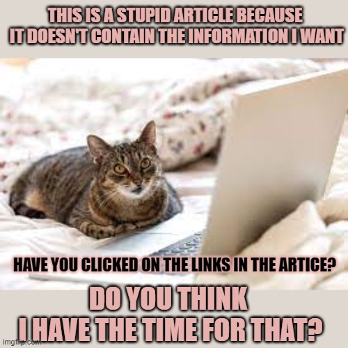 This #lolcat wonders is people realize it's not the article that's stupid | THIS IS A STUPID ARTICLE BECAUSE 
IT DOESN'T CONTAIN THE INFORMATION I WANT; HAVE YOU CLICKED ON THE LINKS IN THE ARTICE? DO YOU THINK 
I HAVE THE TIME FOR THAT? | image tagged in comprehending,lolcat,computer,reading,think about it,stupid people | made w/ Imgflip meme maker