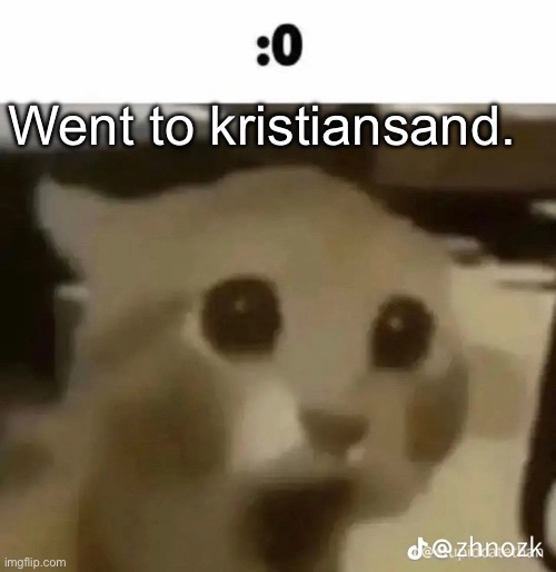 :0 | Went to kristiansand. | made w/ Imgflip meme maker