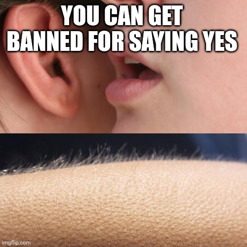 yes | YOU CAN GET BANNED FOR SAYING YES | image tagged in whisper and goosebumps,roblox meme,roblox | made w/ Imgflip meme maker