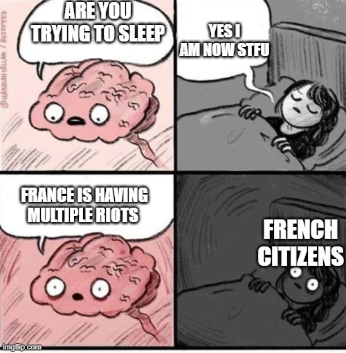Trying to sleep | ARE YOU TRYING TO SLEEP; YES I AM NOW STFU; FRANCE IS HAVING MULTIPLE RIOTS; FRENCH CITIZENS | image tagged in trying to sleep | made w/ Imgflip meme maker