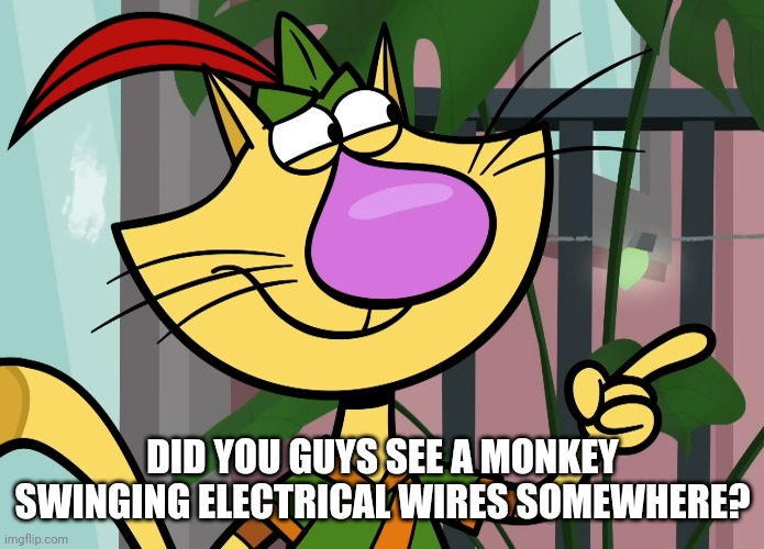 DID YOU GUYS SEE A MONKEY SWINGING ELECTRICAL WIRES SOMEWHERE? | made w/ Imgflip meme maker