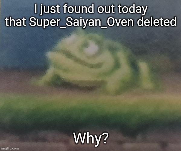 I didn't realise until today | I just found out today that Super_Saiyan_Oven deleted; Why? | image tagged in frogoon | made w/ Imgflip meme maker