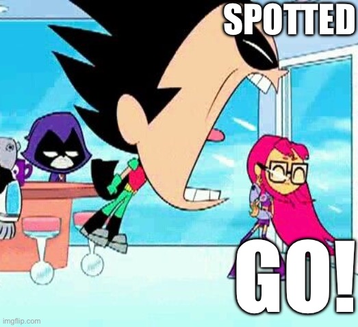 robin yelling at starfire | SPOTTED; GO! | image tagged in robin yelling at starfire | made w/ Imgflip meme maker