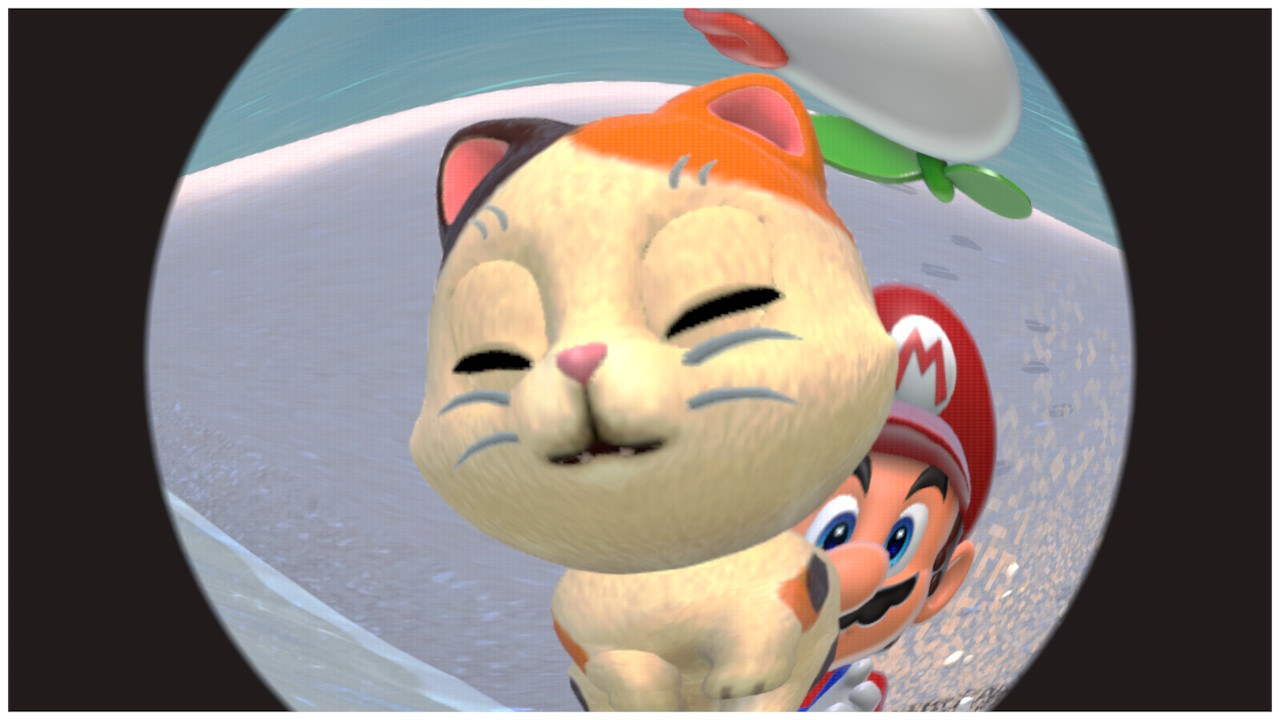 High Quality mario holding the cat Blank Meme Template