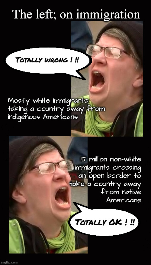 The left; on immigration | The left; on immigration; Totally wrong ! !! Mostly white immigrants
taking a country away from
indigenous Americans; 15 million non-white
immigrants crossing
an open border to
take a country away
from native
Americans; Totally OK ! !! | image tagged in immigration,illegal immigration | made w/ Imgflip meme maker