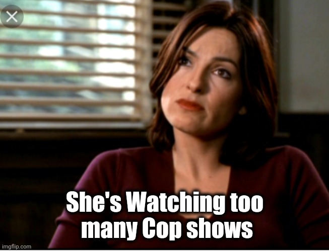 Olivia Benson | She's Watching too
 many Cop shows | image tagged in olivia benson | made w/ Imgflip meme maker