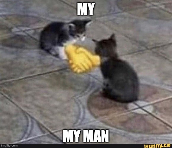 we agree | MY MY MAN | image tagged in we agree | made w/ Imgflip meme maker