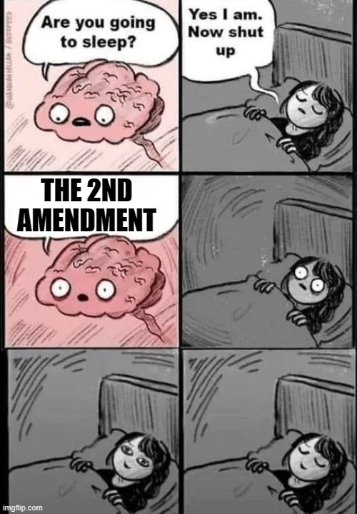 THE 2ND AMENDMENT | made w/ Imgflip meme maker