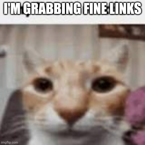 If you know, then you know | I'M GRABBING FINE LINKS | image tagged in my honest reaction | made w/ Imgflip meme maker