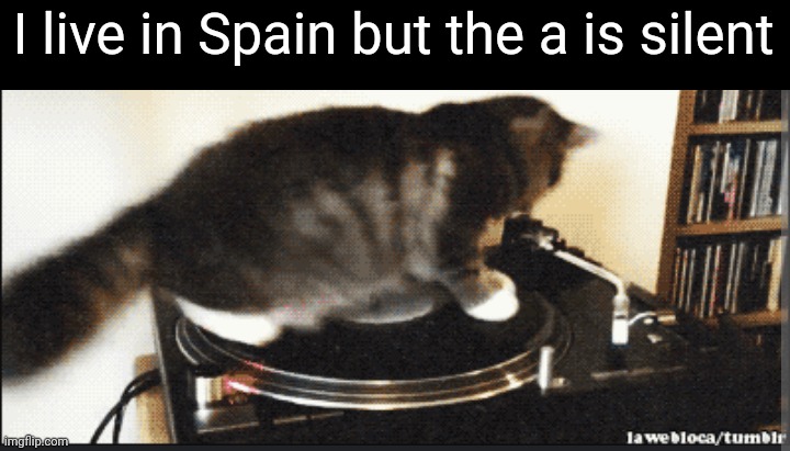 Cat go right round like a record baby right round | I live in Spain but the a is silent | image tagged in spin,cat,helicopter,attack helicopter,meme | made w/ Imgflip meme maker