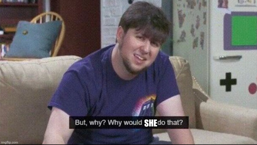 But why why would you do that? | SHE | image tagged in but why why would you do that | made w/ Imgflip meme maker