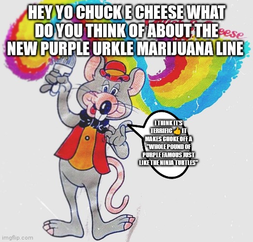 Chuck e cheese is now famous just like the ninja turtles because he smokes marijuana | HEY YO CHUCK E CHEESE WHAT DO YOU THINK OF ABOUT THE NEW PURPLE URKLE MARIJUANA LINE; I THINK IT'S TERRIFIC 👍 IT MAKES CHOKE OFF A "WHOLE POUND OF PURPLE FAMOUS JUST LIKE THE NINJA TURTLES" | image tagged in marijuana,famous like the ninja turtles,purple urkle,new marijuana line brand,chuck e cheese,high on drugs | made w/ Imgflip meme maker