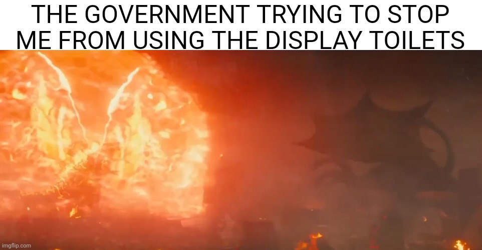 Godzilla Meme | THE GOVERNMENT TRYING TO STOP ME FROM USING THE DISPLAY TOILETS | image tagged in godzilla thermonuclear pulse | made w/ Imgflip meme maker