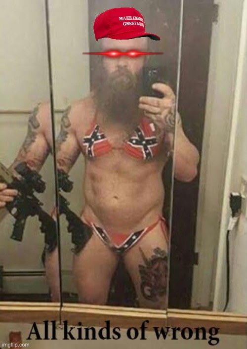 Confederate Flag Bikini | image tagged in confederate flag bikini | made w/ Imgflip meme maker