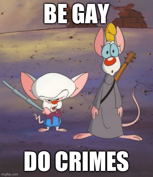like we always do | BE GAY; DO CRIMES | image tagged in pinky and the brain,lgbtq | made w/ Imgflip meme maker