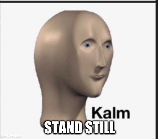 Only Kalm | STAND STILL | image tagged in only kalm | made w/ Imgflip meme maker