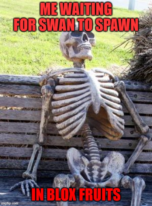what de hail is swan doing | ME WAITING FOR SWAN TO SPAWN; IN BLOX FRUITS | image tagged in memes,waiting skeleton | made w/ Imgflip meme maker