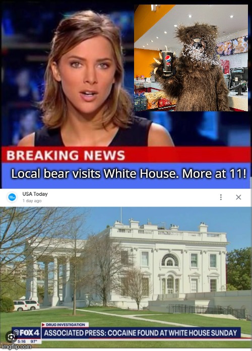 This explains a lot | Local bear visits White House. More at 11! | image tagged in breaking news,cocaine,bear,visits the,white house | made w/ Imgflip meme maker
