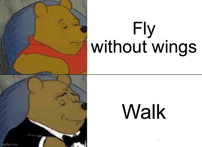 If a fly doesn’t have wings, is it called a walk? | Fly without wings; Walk | image tagged in memes,tuxedo winnie the pooh | made w/ Imgflip meme maker