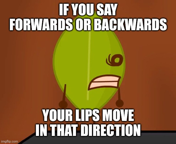 BFDI "Wat" Face | IF YOU SAY FORWARDS OR BACKWARDS; YOUR LIPS MOVE IN THAT DIRECTION | image tagged in bfdi wat face | made w/ Imgflip meme maker