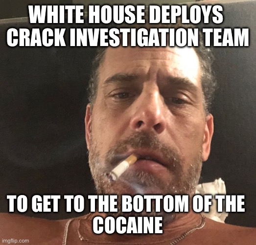 Hunter Biden | WHITE HOUSE DEPLOYS 
CRACK INVESTIGATION TEAM; TO GET TO THE BOTTOM OF THE 
COCAINE | image tagged in hunter biden | made w/ Imgflip meme maker