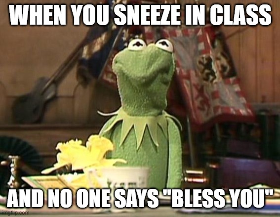 how rude | WHEN YOU SNEEZE IN CLASS; AND NO ONE SAYS "BLESS YOU" | image tagged in annoyed kermit | made w/ Imgflip meme maker