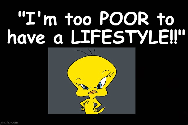 "I'm too POOR to have a LIFESTYLE!!" | "I'm too POOR to have a LIFESTYLE!!" | image tagged in tweety bird,lifestyle,poor | made w/ Imgflip meme maker