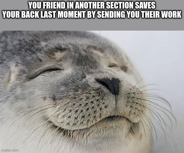 Been saved. | YOU FRIEND IN ANOTHER SECTION SAVES YOUR BACK LAST MOMENT BY SENDING YOU THEIR WORK | image tagged in memes,satisfied seal | made w/ Imgflip meme maker