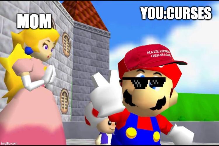 Super Mario 64 | MOM; YOU:CURSES | image tagged in super mario 64 | made w/ Imgflip meme maker