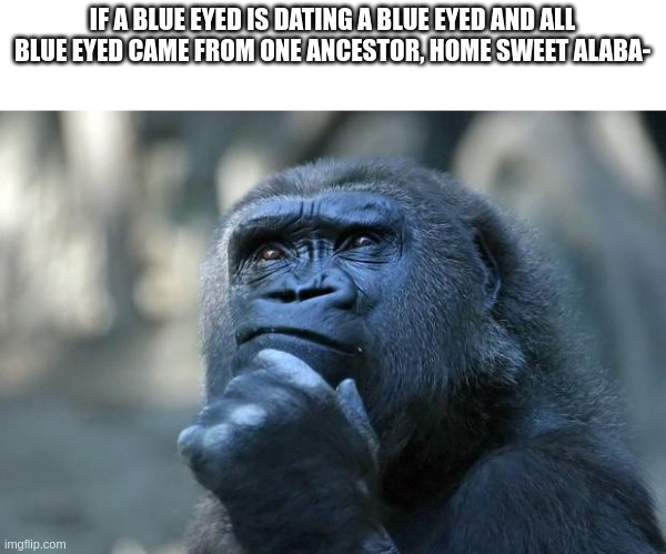 A blue eyed dating a blue eyed | IF A BLUE EYED IS DATING A BLUE EYED AND ALL BLUE EYED CAME FROM ONE ANCESTOR, HOME SWEET ALABA- | image tagged in deep thoughts | made w/ Imgflip meme maker