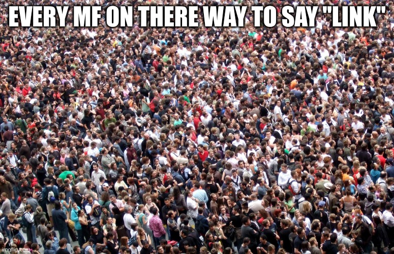 crowd of people | EVERY MF ON THERE WAY TO SAY "LINK" | image tagged in crowd of people | made w/ Imgflip meme maker