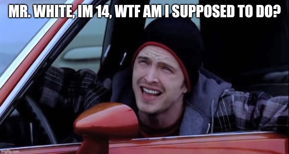 Jesse Pinkman in Car | MR. WHITE, IM 14, WTF AM I SUPPOSED TO DO? | image tagged in jesse pinkman in car | made w/ Imgflip meme maker