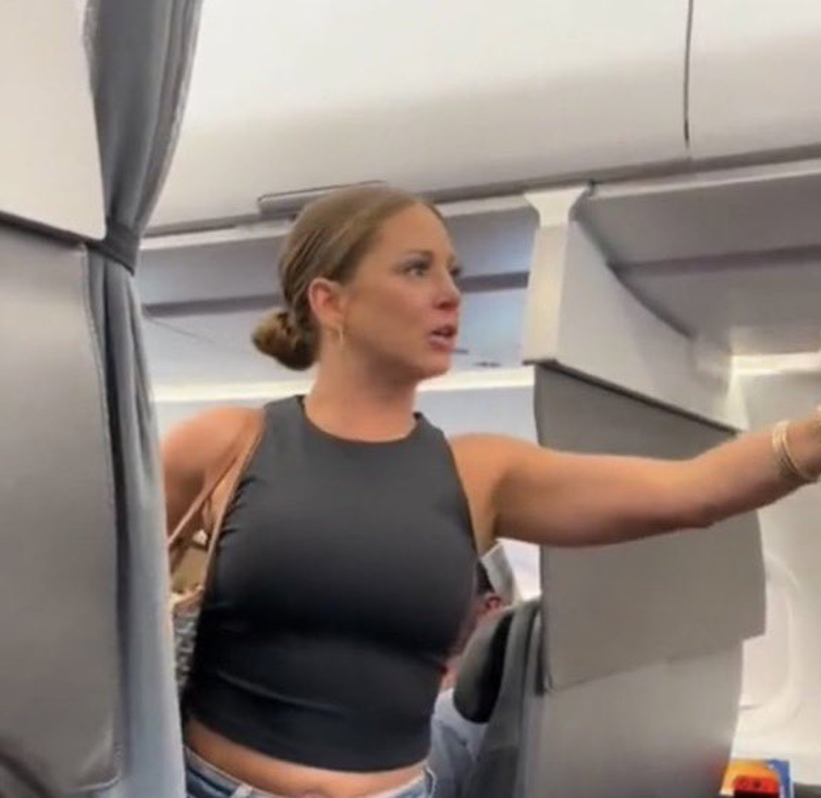 Crazy airplane lady Blank Meme Template