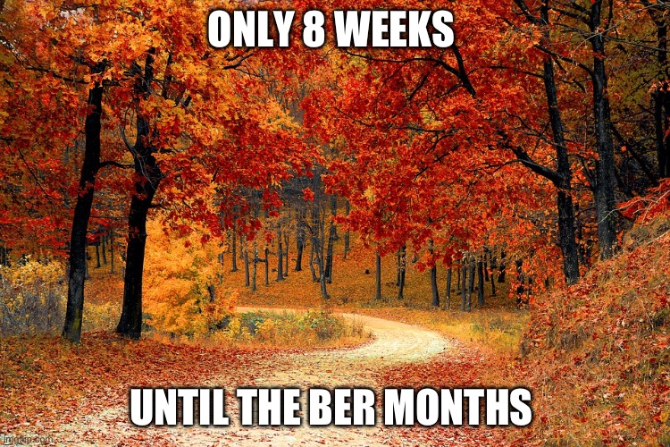 Only 8 weeks until the Ber Months | ONLY 8 WEEKS; UNTIL THE BER MONTHS | image tagged in road in autumn | made w/ Imgflip meme maker
