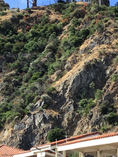 Went to Catalina island yesterday while on vacation and got this picture of a cliff | image tagged in catalina island,photos | made w/ Imgflip meme maker