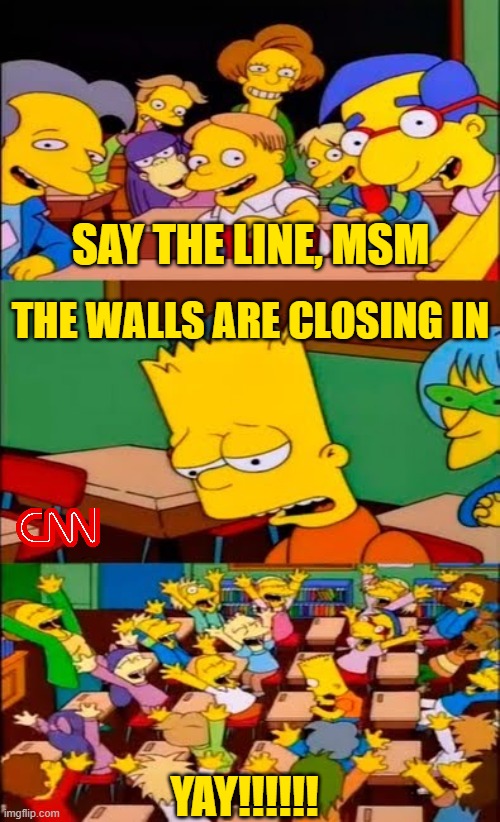 Boomerang | SAY THE LINE, MSM; THE WALLS ARE CLOSING IN; YAY!!!!!! | image tagged in say the line bart simpsons | made w/ Imgflip meme maker