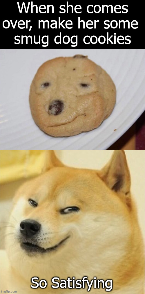 These will work | When she comes over, make her some 
smug dog cookies; So Satisfying | image tagged in smug doge,cookies,dating | made w/ Imgflip meme maker