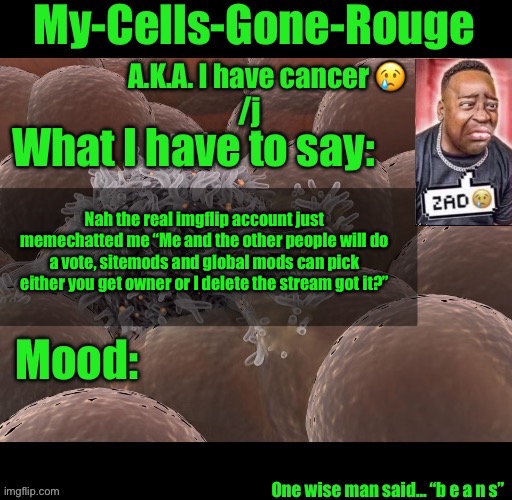 My-Cells-Gone-Rouge announcement | Nah the real imgflip account just memechatted me “Me and the other people will do a vote, sitemods and global mods can pick either you get owner or I delete the stream got it?” | image tagged in my-cells-gone-rouge announcement | made w/ Imgflip meme maker
