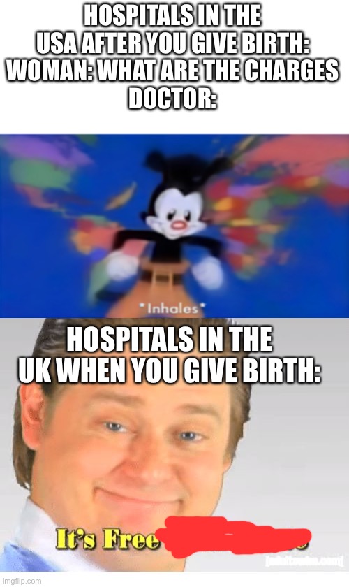 HOSPITALS IN THE USA AFTER YOU GIVE BIRTH:
WOMAN: WHAT ARE THE CHARGES
DOCTOR:; HOSPITALS IN THE UK WHEN YOU GIVE BIRTH: | image tagged in yakko inhale,it's free real estate,fun,memes,why are you reading the tags | made w/ Imgflip meme maker