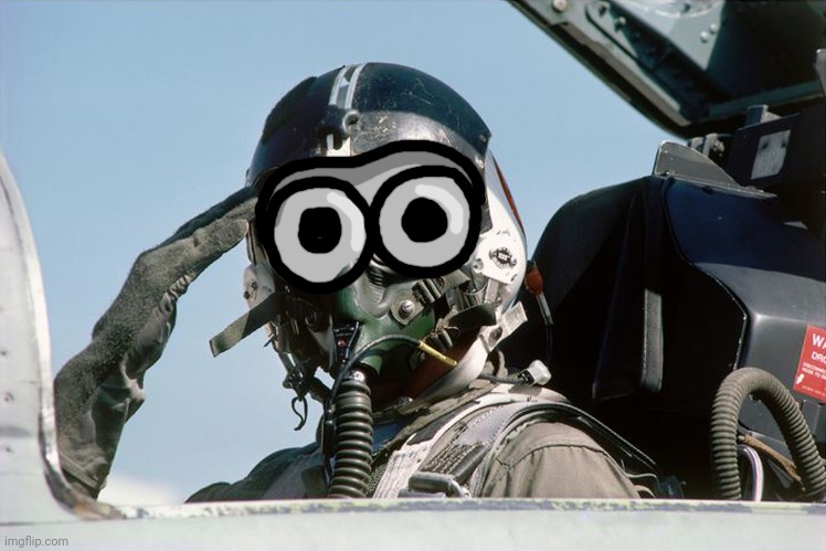 Fighter Jet Pilot Salute | image tagged in fighter jet pilot salute | made w/ Imgflip meme maker