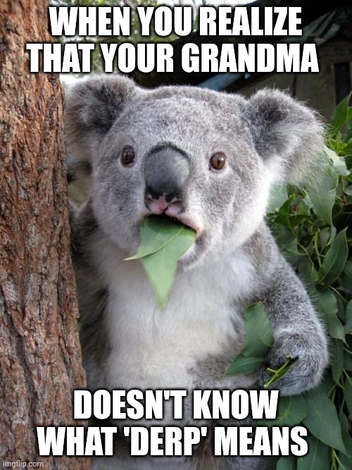 She doesn't know what 'derp' means | WHEN YOU REALIZE THAT YOUR GRANDMA; DOESN'T KNOW WHAT 'DERP' MEANS | image tagged in memes,surprised koala | made w/ Imgflip meme maker