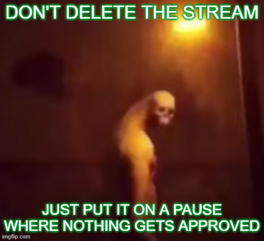 Your IP Address Is On The Internet | DON'T DELETE THE STREAM; JUST PUT IT ON A PAUSE WHERE NOTHING GETS APPROVED | image tagged in your ip address is on the internet | made w/ Imgflip meme maker