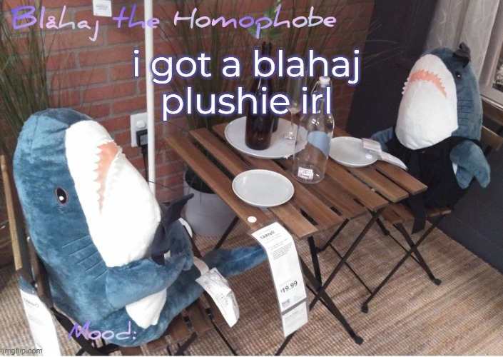 Blåhaj annoucment template | i got a blahaj plushie irl | image tagged in bl haj annoucment template | made w/ Imgflip meme maker