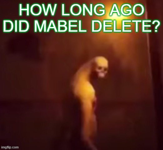 I never found out if Mabel was a she or a he or a what | HOW LONG AGO DID MABEL DELETE? | image tagged in your ip address is on the internet | made w/ Imgflip meme maker