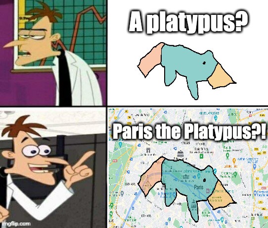 Pery the platyplus | made w/ Imgflip meme maker