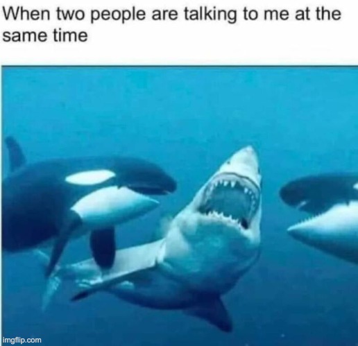 image tagged in memes,funny,repost | made w/ Imgflip meme maker