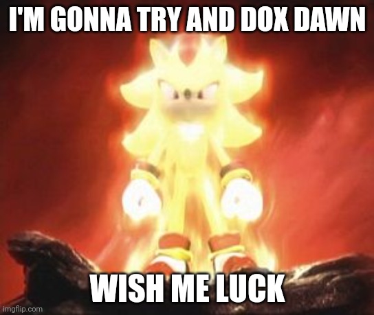 Super Shadow | I'M GONNA TRY AND DOX DAWN; WISH ME LUCK | image tagged in super shadow | made w/ Imgflip meme maker