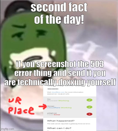 we all did this. | second fact of the day! if you screenshot the 503 error thing and send it you are technically doxxing yourself | image tagged in liam creampie | made w/ Imgflip meme maker